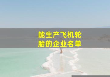 能生产飞机轮胎的企业名单