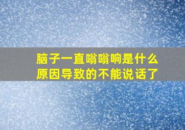 脑子一直嗡嗡响是什么原因导致的不能说话了