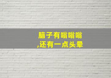 脑子有嗡嗡嗡,还有一点头晕