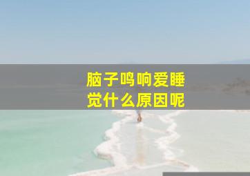 脑子鸣响爱睡觉什么原因呢