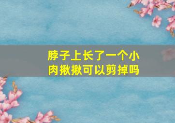 脖子上长了一个小肉揪揪可以剪掉吗