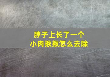 脖子上长了一个小肉揪揪怎么去除