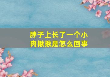 脖子上长了一个小肉揪揪是怎么回事