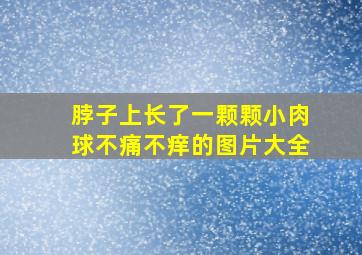 脖子上长了一颗颗小肉球不痛不痒的图片大全