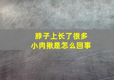 脖子上长了很多小肉揪是怎么回事