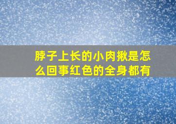 脖子上长的小肉揪是怎么回事红色的全身都有