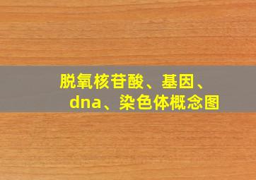 脱氧核苷酸、基因、dna、染色体概念图