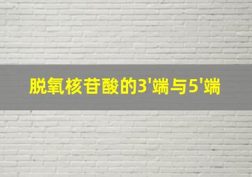 脱氧核苷酸的3'端与5'端