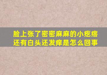 脸上张了密密麻麻的小疙瘩还有白头还发痒是怎么回事