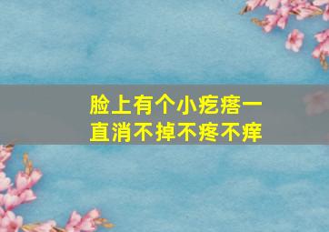 脸上有个小疙瘩一直消不掉不疼不痒