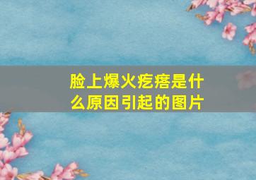 脸上爆火疙瘩是什么原因引起的图片