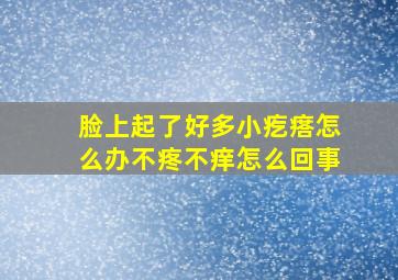 脸上起了好多小疙瘩怎么办不疼不痒怎么回事