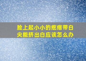 脸上起小小的疙瘩带白尖能挤出白应该怎么办