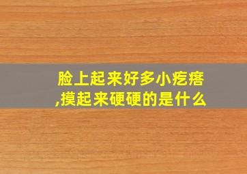 脸上起来好多小疙瘩,摸起来硬硬的是什么