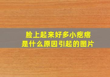 脸上起来好多小疙瘩是什么原因引起的图片