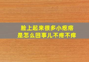 脸上起来很多小疙瘩是怎么回事儿不疼不痒