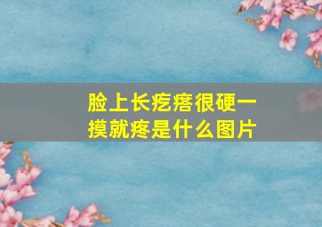 脸上长疙瘩很硬一摸就疼是什么图片