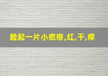 脸起一片小疙瘩,红,干,痒