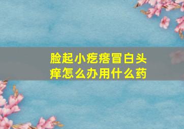 脸起小疙瘩冒白头痒怎么办用什么药