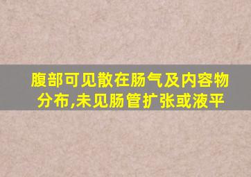 腹部可见散在肠气及内容物分布,未见肠管扩张或液平