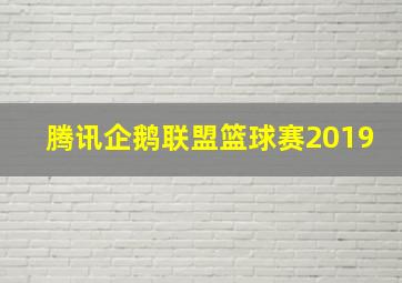 腾讯企鹅联盟篮球赛2019