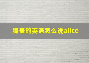 膝盖的英语怎么说alice