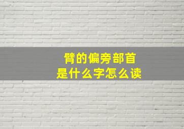 臂的偏旁部首是什么字怎么读