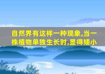 自然界有这样一种现象,当一株植物单独生长时,显得矮小