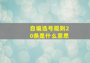 自编选号规则20条是什么意思