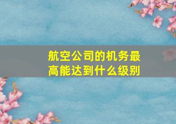 航空公司的机务最高能达到什么级别