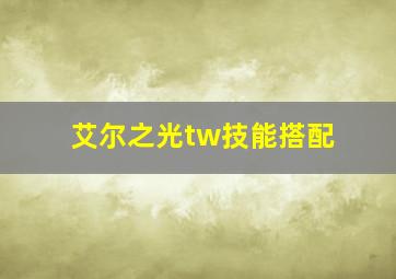 艾尔之光tw技能搭配