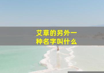 艾草的另外一种名字叫什么