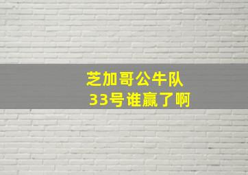 芝加哥公牛队33号谁赢了啊