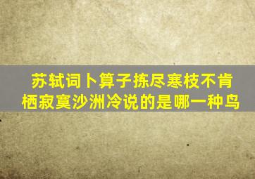 苏轼词卜算子拣尽寒枝不肯栖寂寞沙洲冷说的是哪一种鸟