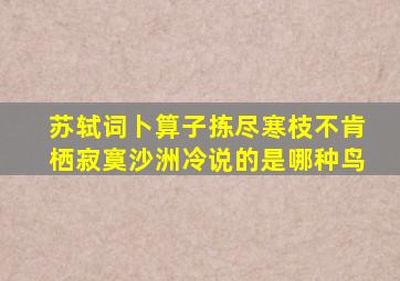 苏轼词卜算子拣尽寒枝不肯栖寂寞沙洲冷说的是哪种鸟