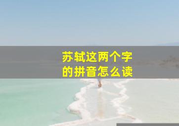 苏轼这两个字的拼音怎么读