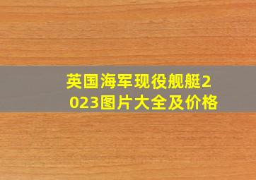 英国海军现役舰艇2023图片大全及价格