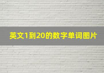 英文1到20的数字单词图片