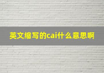 英文缩写的cai什么意思啊