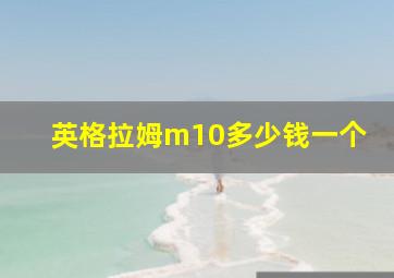 英格拉姆m10多少钱一个