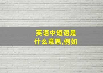 英语中短语是什么意思,例如