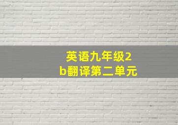 英语九年级2b翻译第二单元