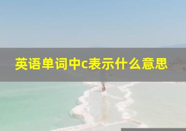 英语单词中c表示什么意思