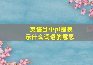 英语当中pl是表示什么词语的意思