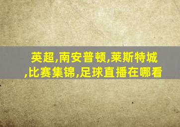 英超,南安普顿,莱斯特城,比赛集锦,足球直播在哪看