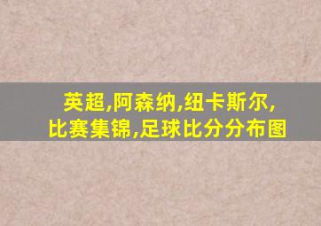 英超,阿森纳,纽卡斯尔,比赛集锦,足球比分分布图