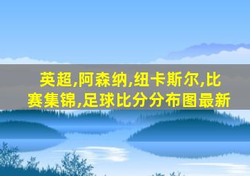 英超,阿森纳,纽卡斯尔,比赛集锦,足球比分分布图最新