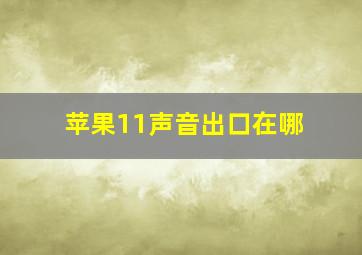 苹果11声音出口在哪