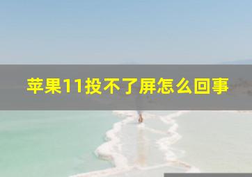 苹果11投不了屏怎么回事