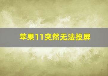 苹果11突然无法投屏